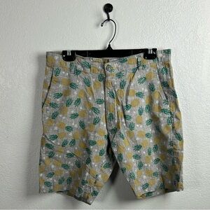 Tenth & Ocean Men's Gray Pineappleu Print Shorts Linen Cotton Blend Sz 34 Beach